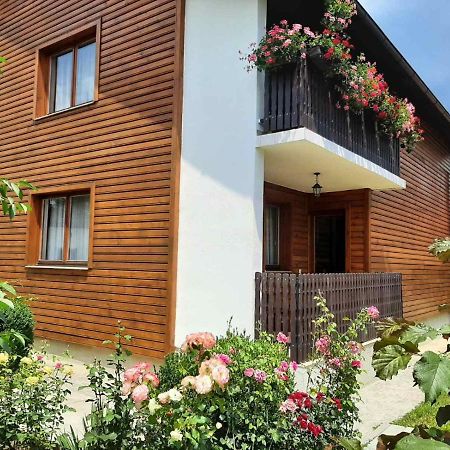 Aleksandar Apartmani Пале Екстериор снимка