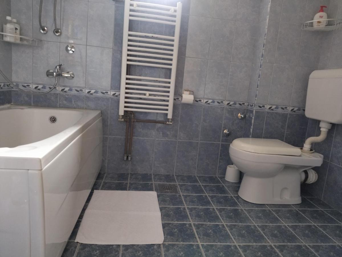 Aleksandar Apartmani Пале Екстериор снимка